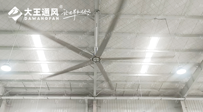 大王通風(fēng)攜手維通利電氣：告別炎熱困擾，釋放清涼一夏！
