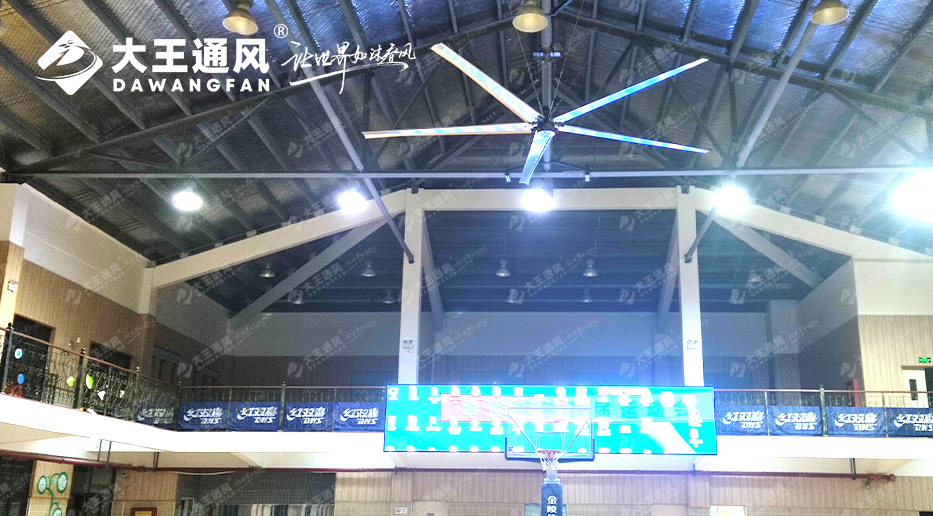 大王風(fēng)扇亮相錦天體育，打造舒適運動環(huán)境，運動達(dá)人熱薦?。?！