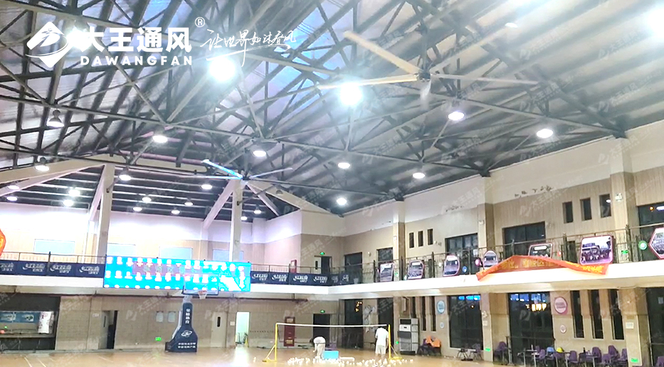 大王風(fēng)扇亮相錦天體育，打造舒適運動環(huán)境，運動達(dá)人熱薦?。?！
